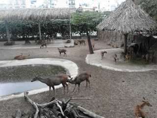 2015-09-09 01.09.26 1.jpg
