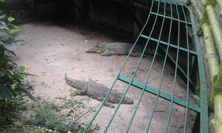 20150909_112653.jpg
