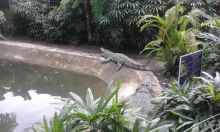 20150909_113728.jpg