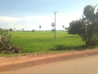 Mekong Express (3).jpg
